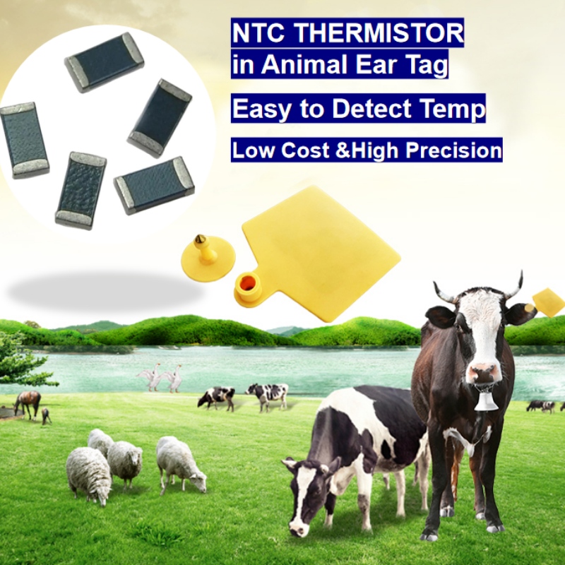 Sensore di temperatura del termistore NTCnell\'allevamento intelligente di etichette per le orecchie animali